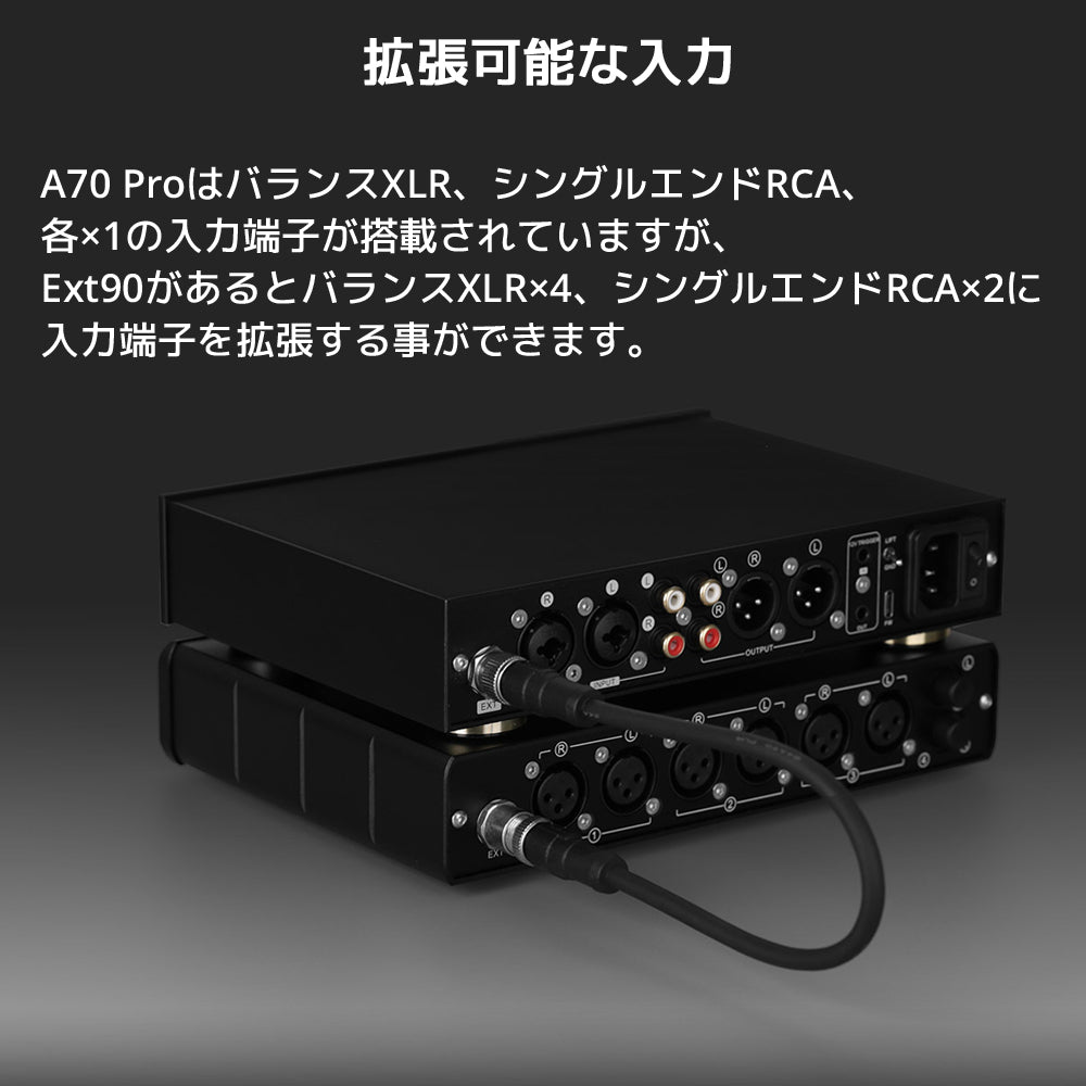 拡張可能な入力