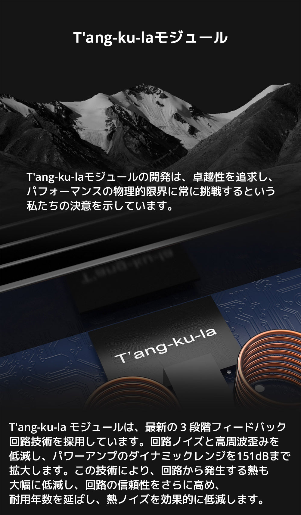 T'ang-ku-laモジュール
T'ang-ku-laモジュールの開発は、卓越性を追求し、パフォーマンスの物理的限界に常に挑戦するという私たちの決意を示しています。
T'ang-ku-la モジュールは、最新の 3 段階フィードバック回路技術を採用しています。
回路ノイズと高周波歪みを低減し、パワーアンプのダイナミックレンジを151dBまで拡大します。
この技術により、回路から発生する熱も大幅に低減し、回路の信頼性をさらに高め、耐用年数を延ばし、熱ノイズを効果的に低減します。