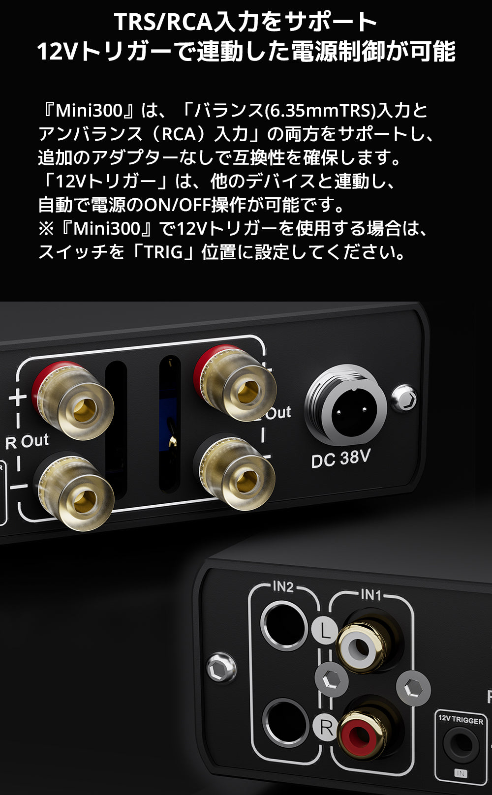 TRS/RCA入力をサポート　12Vトリガーで連動した電源制御が可能

『Mini300』は、「バランス（6.35mmTRS）入力とアンバランス（RCA）入力」の両方をサポートし、追加のアダプターなしで互換性を確保します。

「12Vトリガー」は、他のデバイスと連動し、自動で電源のON/OFF操作が可能です。



※『Mini300』で12Vトリガーを使用する場合は、スイッチを「TRIG」位置に設定してください。

