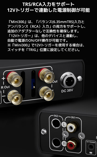 TRS/RCA入力をサポート　12Vトリガーで連動した電源制御が可能

『Mini300』は、「バランス（6.35mmTRS）入力とアンバランス（RCA）入力」の両方をサポートし、追加のアダプターなしで互換性を確保します。

「12Vトリガー」は、他のデバイスと連動し、自動で電源のON/OFF操作が可能です。



※『Mini300』で12Vトリガーを使用する場合は、スイッチを「TRIG」位置に設定してください。

